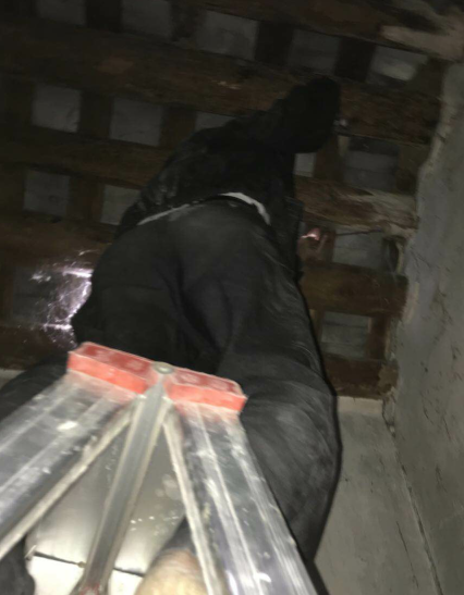 揭陽錫場殺白蟻